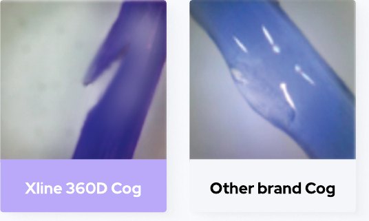 Barbed cogs extracted after 60 days
